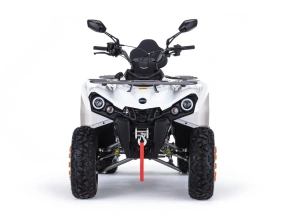 Квадроцикл MOTAX Grizlik 200 Ultra