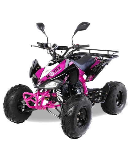 Квадроцикл MOTAX ATV T-Rex-LUX 50 сс