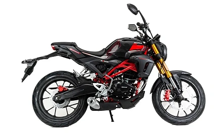 Мотоцикл Motoland 501 (172FMM-5/PR250)