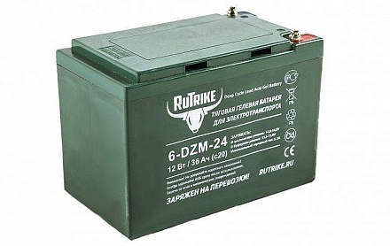 Тяговый гелевый аккумулятор RuTrike 6-DZM-24 (12V24A/H C2)