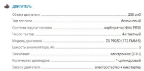 Мотоцикл Avantis А3 (PR250/172FMM-5, 6 ст.) 2022