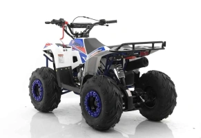 Квадроцикл MOTAX GRIZLIK A110