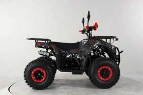 Квадроцикл MOTAX GRIZLIK PREMIUM 2024