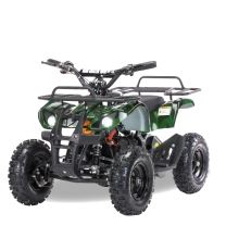 Электроквадроцикл MOTAX Mini Grizlik X-16 1000W