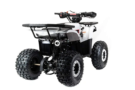 Квадроцикл Motoland 125 STORM