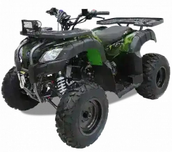 Квадроцикл MOTAX ATV Grizlik 200 LUX
