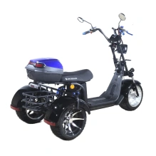 Электроскутер SKYBOARD CITYCOCO MyRussia BR60 3000W с корзиной