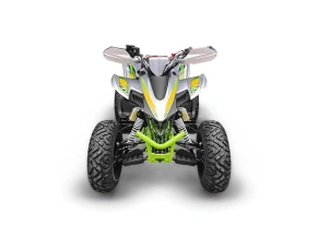 Квадроцикл YACOTA TYPHOON 250