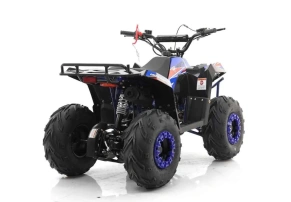 Квадроцикл MOTAX GRIZLIK A110