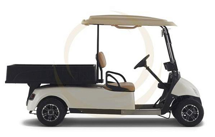 Гольф кар EWAY HMS1
