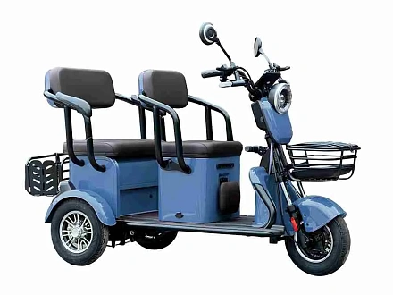 Электротрицикл Green Camel Пони Z8