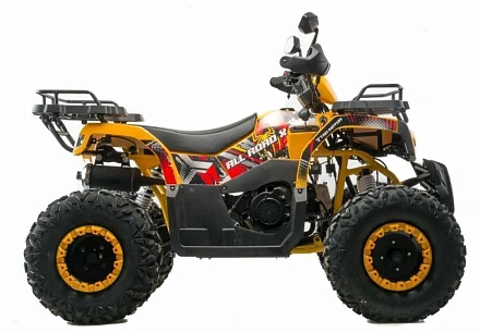 Квадроцикл Motoland 200 ALL ROAD X (баланс. вал)
