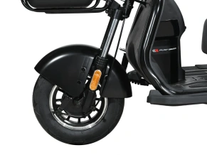 Электротрицикл White Siberia Sibtrike L 2000W городской