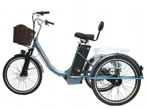 Электровелосипед Green Camel Трайк-B (R24 500W 48V 20Ah) задний привод