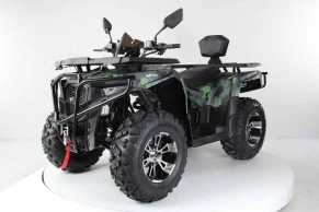 Квадроцикл Motax Grizlik 300