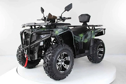 Квадроцикл Motax Grizlik 300