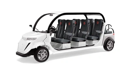 Гольфкар Elecar 5E-TIGARBO 6+2