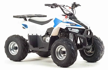 Квадроцикл Motoland 110 EAGLE (2020 г.)