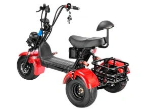 Электроскутер GT Citycoco X5 Trike