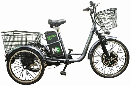 Трехколесный электровелосипед E-motions KANGOO-RU 700