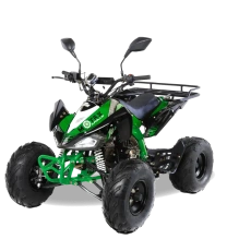 Квадроцикл MOTAX ATV T-Rex-LUX 50 сс