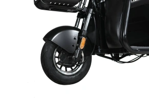 Электротрицикл WHITE SIBERIA SIBTRIKE R 2000W