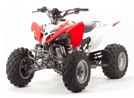 Квадроцикл Motoland 250S