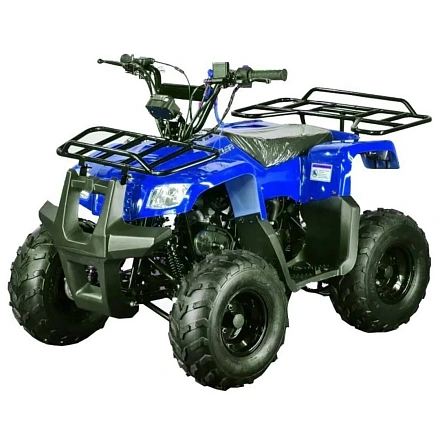 Квадроцикл Motoland 110 RIDER