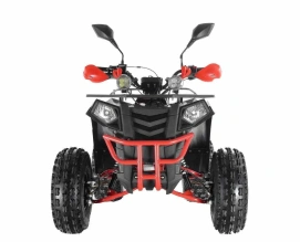 Квадроцикл Wels Thunder EVO X