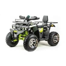 Квадроцикл Motoland 200 WILD TRACK PRO