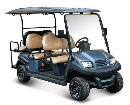 Гольфкар Voltrix EAGLE EG204AKSF13