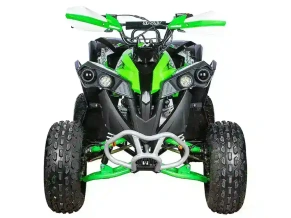 Квадроцикл YACOTA RENEGADE