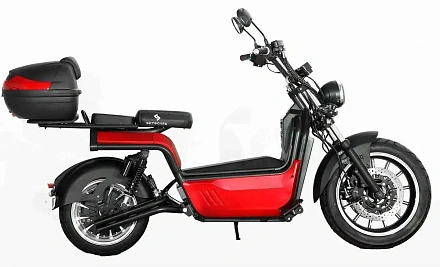 Электроскутер SKYBOARD BR100-5000 (Amur)