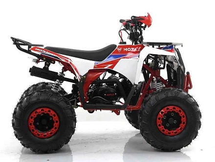 Квадроцикл MOTAX GRIZLIK A125