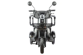 Электротрицикл Rutrike Караван пассажирский