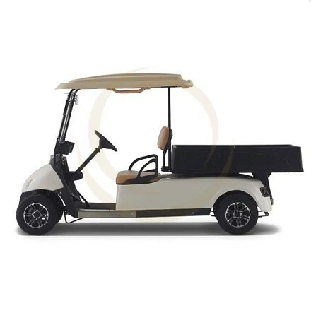 Гольф кар EWAY HMS1