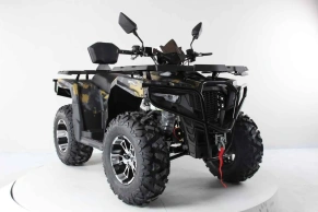 Квадроцикл Motax Grizlik 300