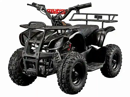 Квадроцикл YACOTA 500W