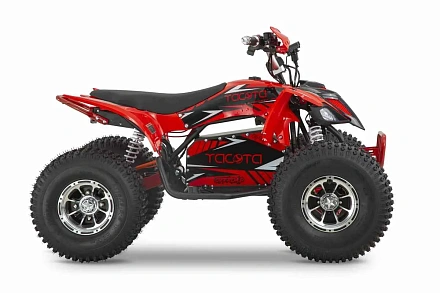 Квадроцикл YACOTA E-SPORT 3000W LD