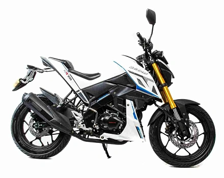 Мотоцикл Motoland MT 250 (172FMM-5/PR250)