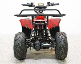 Электроквадроцикл Green Camel Гоби K70 (36V 800W R7 Дифференциал)