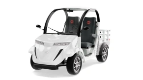 Гольфкар Elecar 5E-TIGARBO 2G