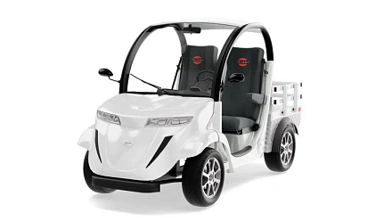 Гольфкар Elecar 5E-TIGARBO 2G