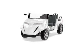 Гольфкар Elecar 5E-TIGARBO 2 Cabrio