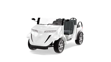 Гольфкар Elecar 5E-TIGARBO 2 Cabrio