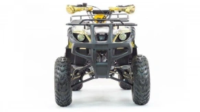 Квадроцикл Motoland 250 ADVENTURE