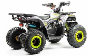 Квадроцикл Motoland 125 WILD (2020 г.)