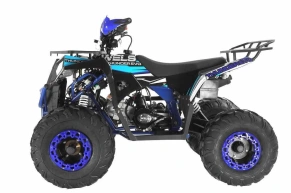 Квадроцикл Wels Thunder EVO