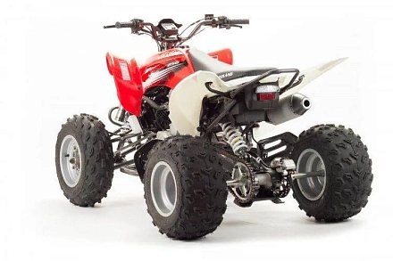 Квадроцикл Motoland 250S