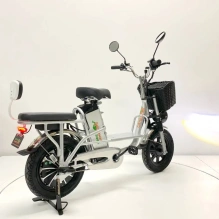 Электровелосипед Green Camel Транк Монстр (R16FAT 500W 60V20Ah) гидравлика